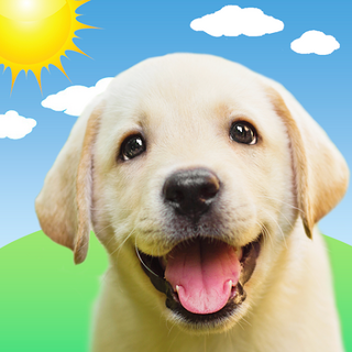 Weather Puppy - App & Widget Icon