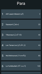15 Lines Hefz/ Hafezi Quran Screenshot 4