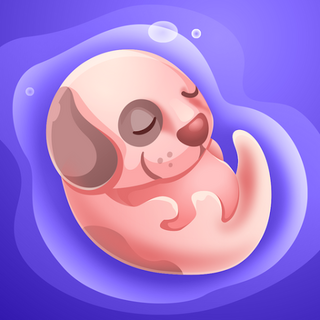 Dog Life Simulator Icon