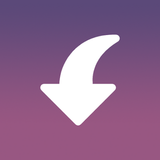 Insget - Instagram Downloader Icon