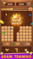 Block Puzzle Wood Blast Screenshot 5