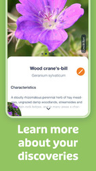 Flora Incognita Скриншот 3
