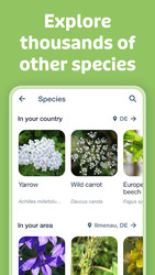 Flora Incognita Скриншот 6