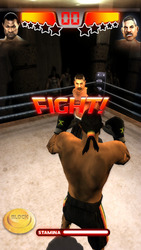 RealTech Iron Fist Boxing Скриншот 4
