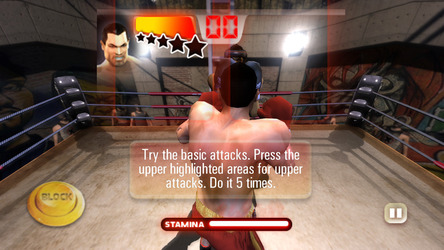 RealTech Iron Fist Boxing Скриншот 8